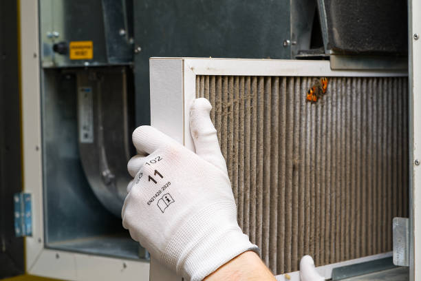 Best Ductwork Cleaning Services  in West Point, VA
