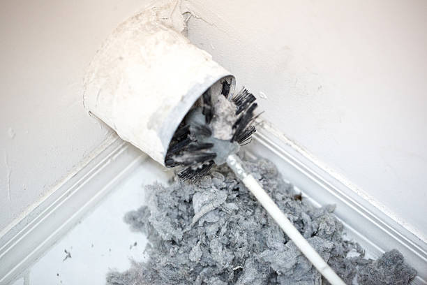 Best Affordable Duct Cleaning Services  in West Point, VA